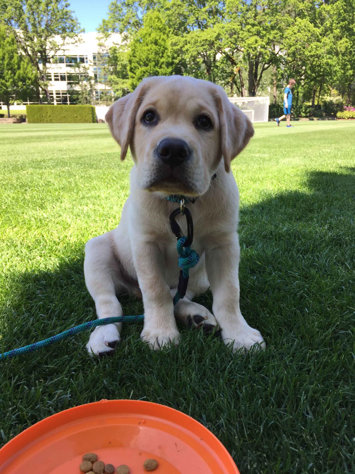 Pic of the Litter: Bo Moore